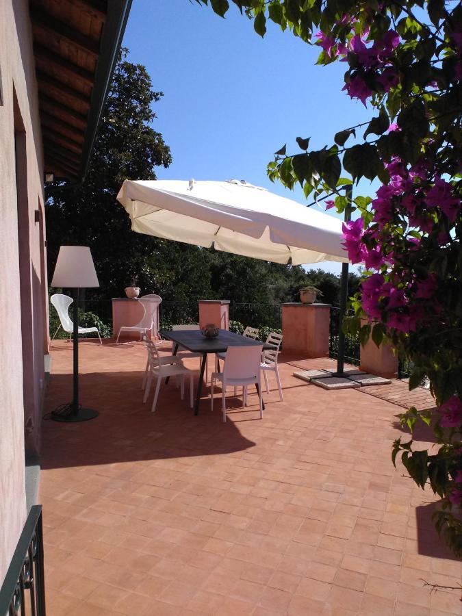 La corte di Bafè B&B Slow Life Zafferana Etnea Extérieur photo